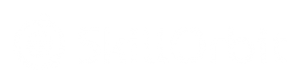 Skillorbit